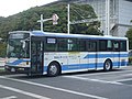 貸切用車両・前所有社のカラーパターンを変更したもの（いすゞLV、元・東京ベイシティ交通）