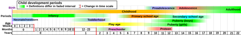 File:Child development stages.svg