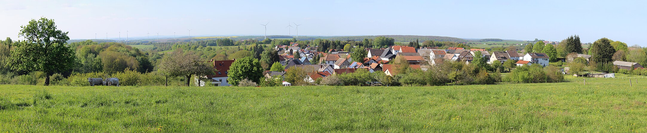 Blick von Süden auf Schweix