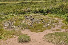 Tumulus préhistorique de l'Anse Amour.