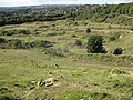 Woodside Quarry looking towards Horsforth