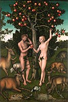 Adam et Eve 1526, Institut Courtauld