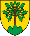 Blason