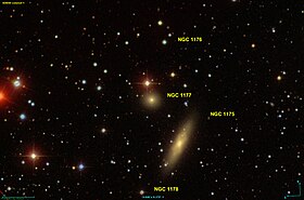 Image illustrative de l’article NGC 1177