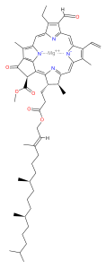 Struttura della clorofilla b