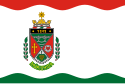 Mórichida - Bandera