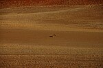 Sossusvlei mit Oryxantilope