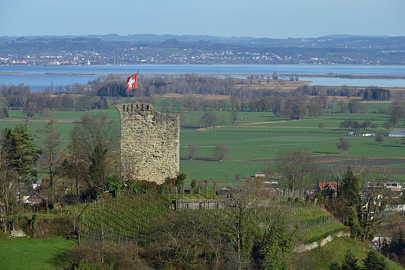 File:Burgruine Alt-Rheineck (SG).JPG