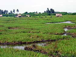 Bénin