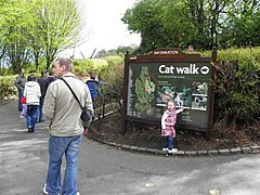 Cat Walk, Belfast Zoo - geograph.org.uk - 1848074.jpg