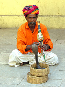 India-6784 - No Money - No Picture .... A Real Charmer - Flickr - archer10 (Dennis).jpg