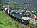 西線でのEF64形電気機関車によるコンテナ貨物輸送 （大桑駅 - 須原駅間 2010年8月20日）