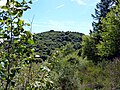 Le Puy des Goules (1 146m)