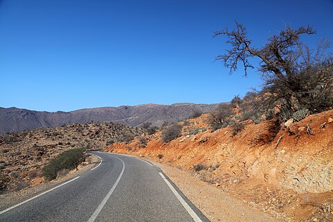 Road R104 view with ubiquitous roadside argan tree in Anti-Atlas mountains, Tiznit Province, Morocco.