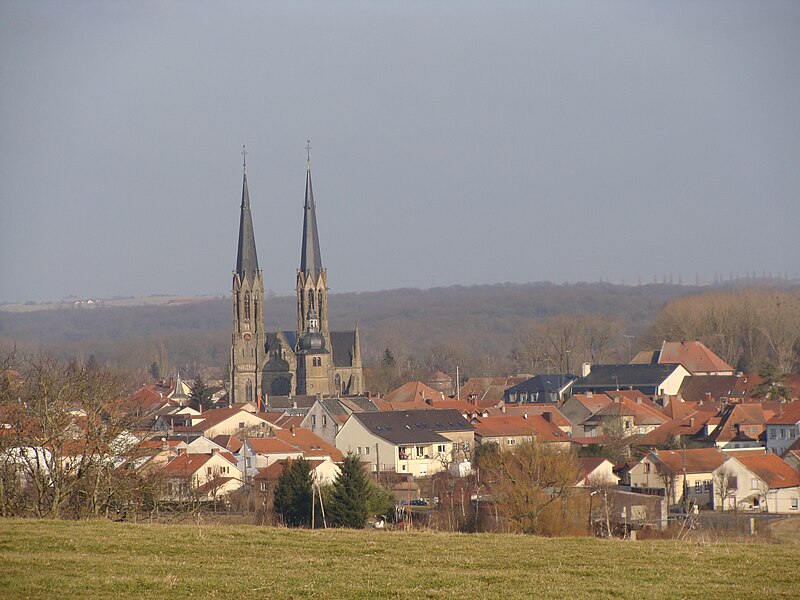 File:Sarralbe, vue d'ensemble..JPG