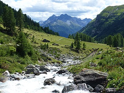 Ein Blick mit Gebirgsbach im Val Tasna bei Ardez talwärts nach Süden