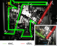 Optical path of a lattice light sheet microscope