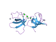 2esw: Atomic structure of the N-terminal SH3 domain of mouse beta PIX,p21-activated kinase (PAK)-interacting exchange factor