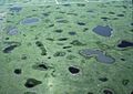 Image 46Aerial view of prairie potholes (from Marsh)