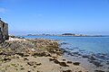 Vue de l'île de Batz depuis Roscoff.