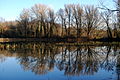 Landschaftsschutzgebiet Röderhofer Teiche und Egenstedter Forst - Der Laichteich im Winter