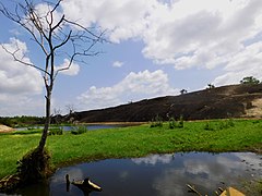 Polonnaruwa Landscape.jpg