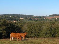 Skyline of Anlhiac