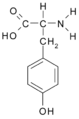 Tyrosin (Tyr / Y)