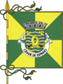 Bandeira de Espinho