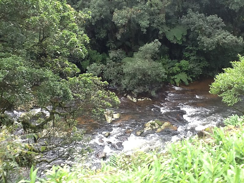 File:Passeio Trem Curitiba - Morretes - Curitiba PR - panoramio (6).jpg