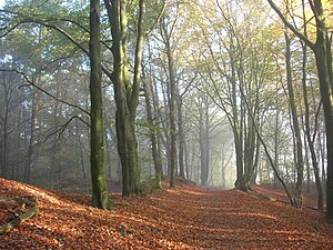 Bij Doetinchem