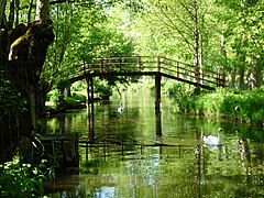 Passerelle au-dessus d'un canal dans la « Venise Verte » (Deux-Sèvres).