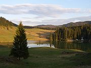 The Ponor Glade, the only example of polje in the Padiș Plateau [ro]