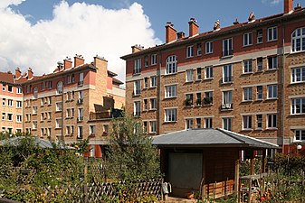 Bâtiments et jardins familiaux de la cité-jardin.