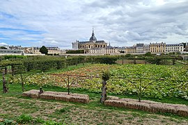 Carré de légumes.