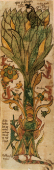 An illustration from AM 738 4to depicting the tree Yggdrasill