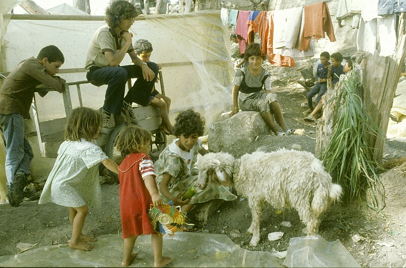 File:A Palestinian refugee Camp near Tyre, Lebanon (FL45930553).jpg