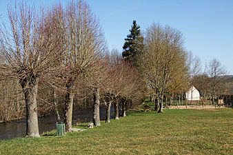 Rive de la Cure vers le camping. Vue vers le nord.