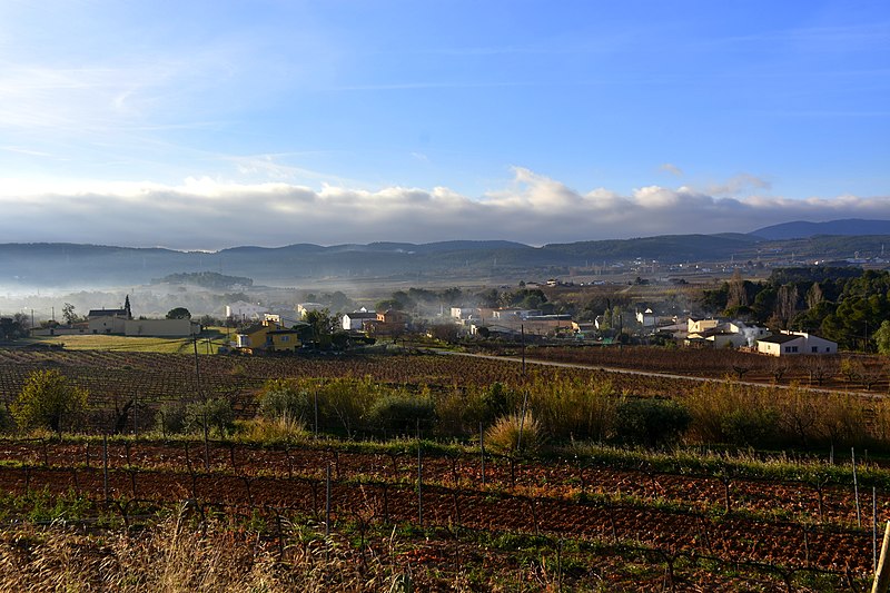 File:El Cusconar, Torrelles de Foix - 51744097672.jpg