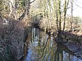 De Geul ter hoogte van de watermolen