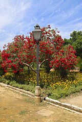 Jardines del Alcazar