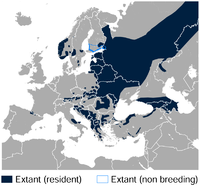 Área de distribución do peto de dorso branco en Europa e Asia oriental[2]