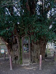 La Haye-de-Routot – Veduta