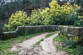 Ribadavia, Province of Ourense, Spain - panoramio (2).jpg