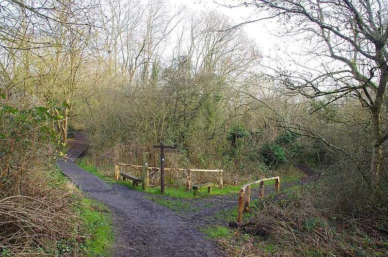 File:A Fork on the London Loop - geograph.org.uk - 6027525.jpg