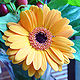 Gerbera, Big yellow