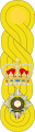 1881 to 1902 lieutenant colonel's shoulder rank insignia