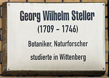 Georg Steller