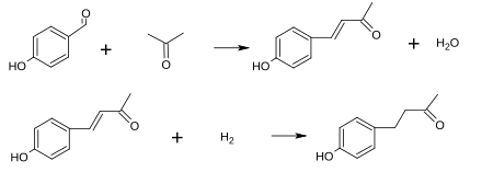 Synthese von Himbeerketon