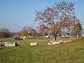 Abusina Linkes Lagertor (porta principalis sinistra) (Blick von Süden